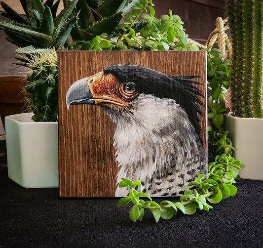 Crested Caracara Oil Painting on Reclaimed Wood, Sonoran Desert wall art, Southwestern Decor, Mexican Eagle