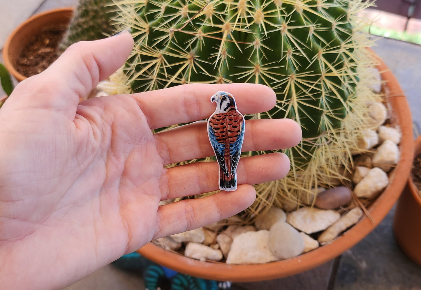 American Kestrel - Resin Coated Polystyrene Pin - 100% Handmade Bird Portrait Pin
