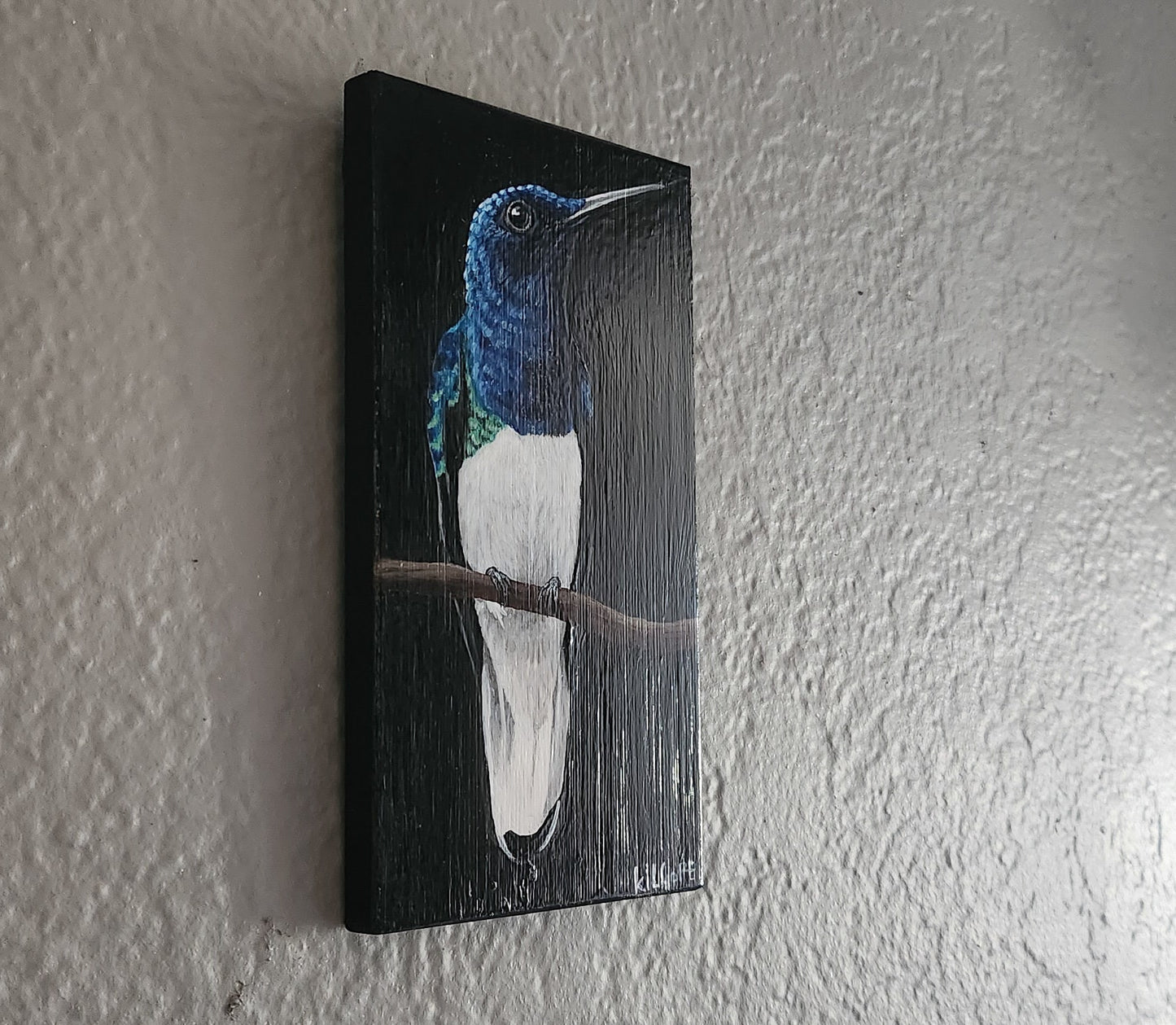 White Necked Jacobin Hummingbird - Original Acrylic Painting on Bamboo - By Kilgore, Original 3.5" x 6" Acrylic Painting | Hummingbird Art