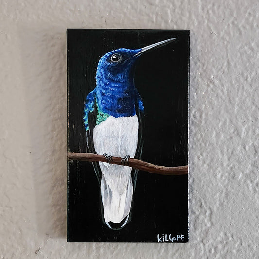 White Necked Jacobin Hummingbird - Original Acrylic Painting on Bamboo - By Kilgore, Original 3.5" x 6" Acrylic Painting | Hummingbird Art