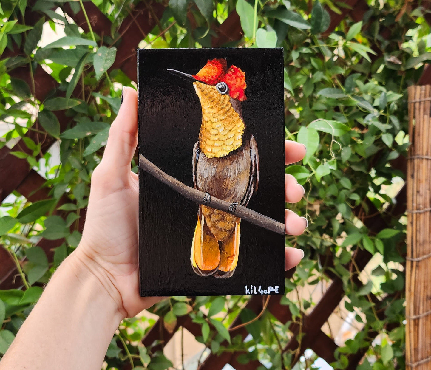 Ruby Topaz Hummingbird - Original Acrylic Painting on Reclaimed Wood - By Kilgore, Original 3.5" x 6" Acrylic Painting | Hummingbird Artwork