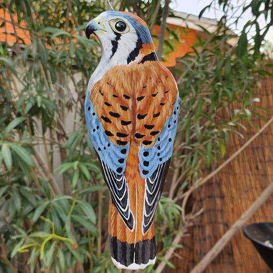 American Kestrel - Wooden Wall Art, Handmade, Painted Bird on Wood, Sparrow Hawk, Falcon Wall Decor
