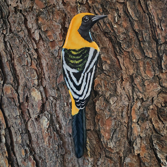 Hooded Oriole - Wooden Wall Art, Handmade, Painted Bird on Wood, Hooded Oriole