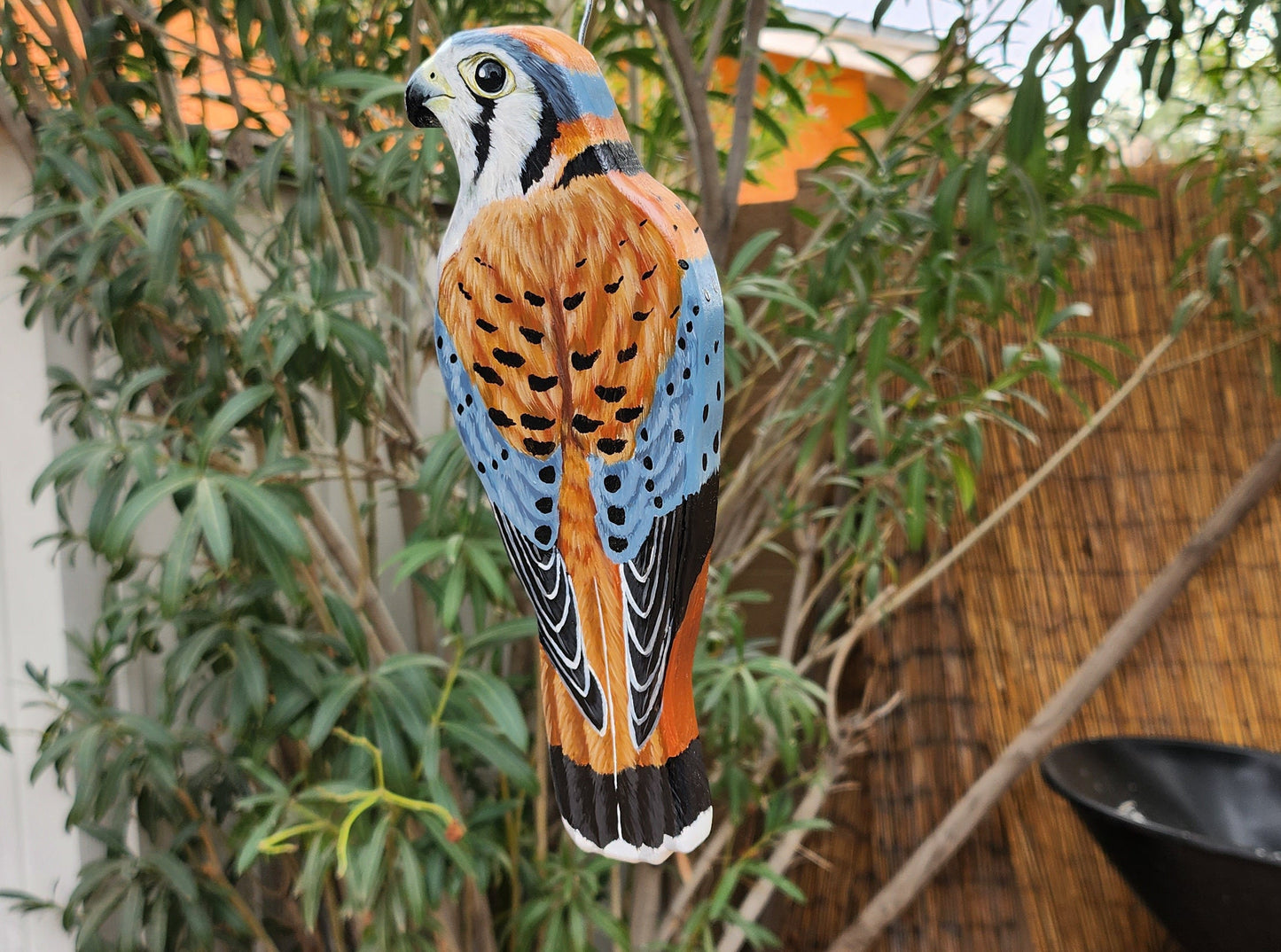 American Kestrel - Wooden Wall Art, Handmade, Painted Bird on Wood, Sparrow Hawk, Falcon Wall Decor
