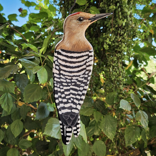 Gila Woodpecker - Wooden Wall Art, Handmade, Painted Bird on Wood